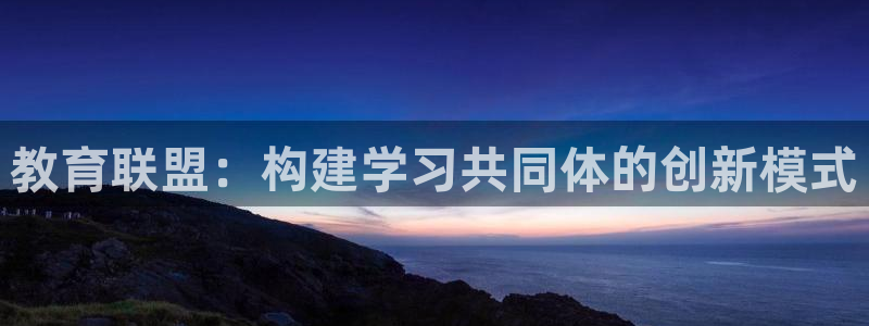 新航娱乐公司：教育联盟：构建学习共同体的创新模式
