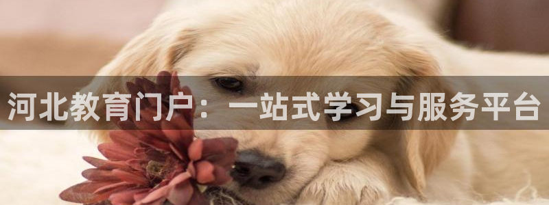 中国新航娱乐在哪个平台：河北教育门户：一站式学习与服务平台