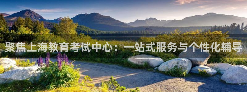 新航娱乐被投诉的原因