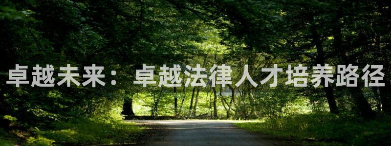 新航娱乐注册：卓越未来：卓越法律人才培养路径