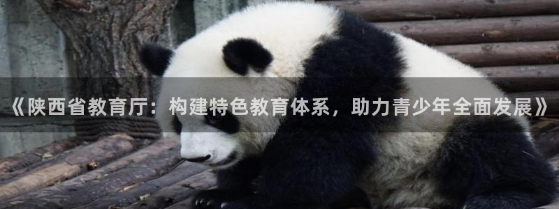 新航娱乐公司招聘：《陕西省教育厅：构建特色教育体系，助力青少