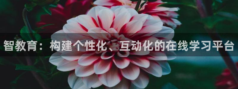 娱乐新航母：智教育：构建个性化、互动化的在线学习平台