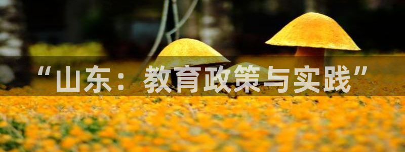 新航娱乐值得买吗：“山东：教育政策与实践”
