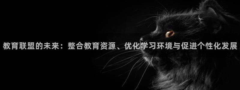 新航线辉煌娱乐会所：教育联盟的未来：整合教育资源、优化学习环