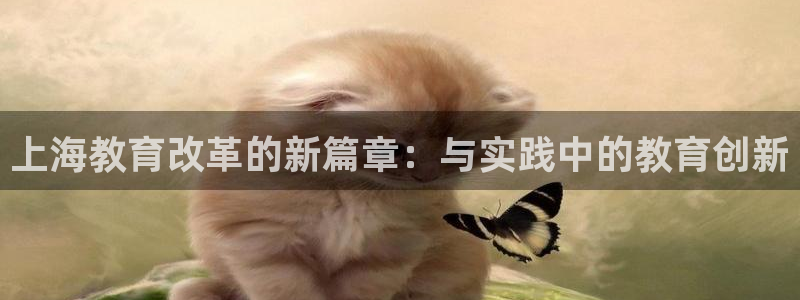 新航娱乐观：上海教育改革的新篇章：与实践中的教育创新