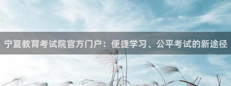中国新航娱乐在哪个平台：宁夏教育考试院官方门户：便捷学习、公