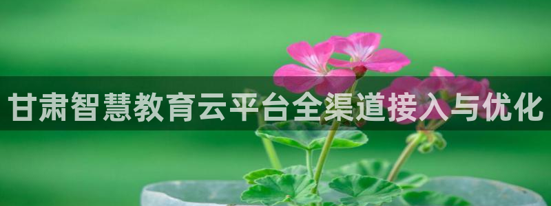 新航娱乐传媒怎么样啊：甘肃智慧教育云平台全渠道接入与优化