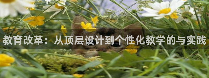 新航娱乐：教育改革：从顶层设计到个性化教学的与实践