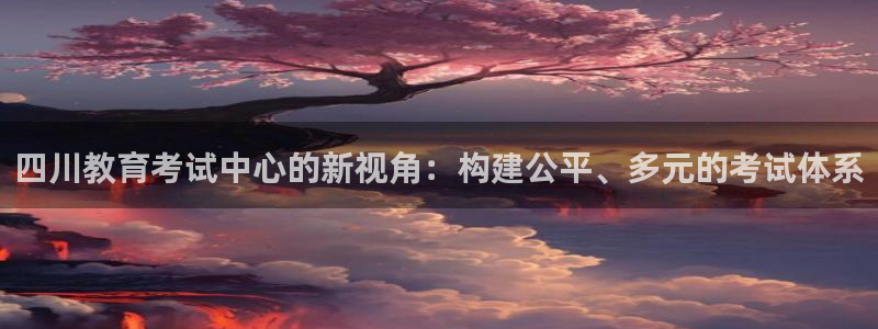 德阳娱乐城最新航拍：四川教育考试中心的新视角：构建公平、多元