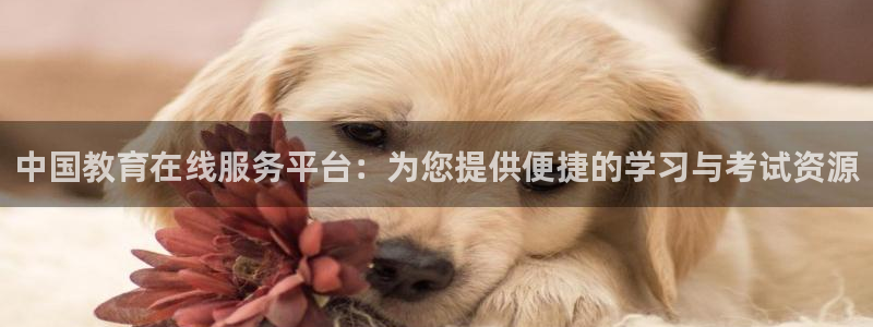 新航路开辟中的娱乐：中国教育在线服务平台：为您提供便捷的学习