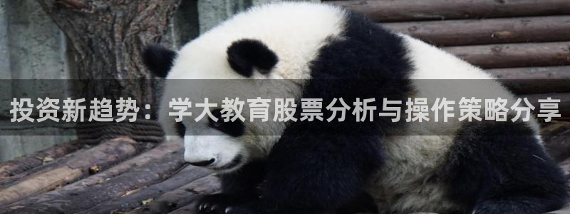 新航线娱乐：投资新趋势：学大教育股票分析与操作策略分享