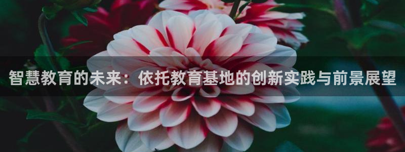 新航sq806娱乐系统：智慧教育的未来：依托教育基地的创新实