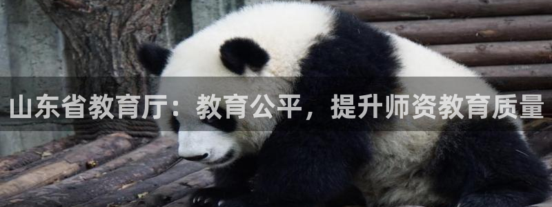 新航机上娱乐：山东省教育厅：教育公平，提升师资教育质量