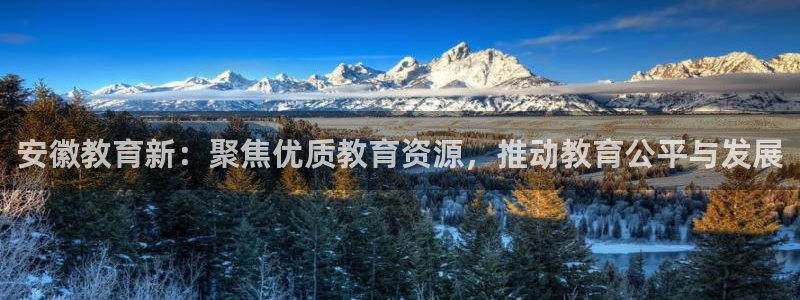 新航娱乐艺人：安徽教育新：聚焦优质教育资源，推动教育公平与发
