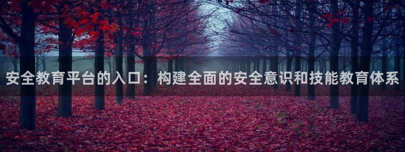 新航娱乐旗下艺人列表：安全教育平台的入口：构建全面的安全意识