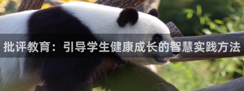 德阳娱乐城最新航拍：批评教育：引导学生健康成长的智慧实践方法