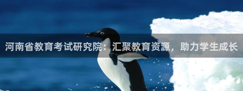 新航sq806娱乐系统：河南省教育考试研究院：汇聚教育资源，
