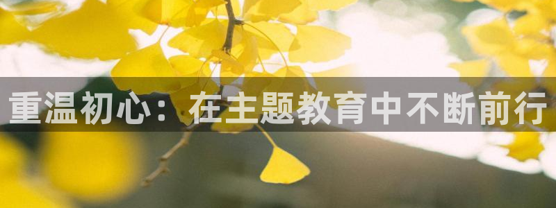 新航娱乐的最新动态报道：重温初心：在主题教育中不断前行