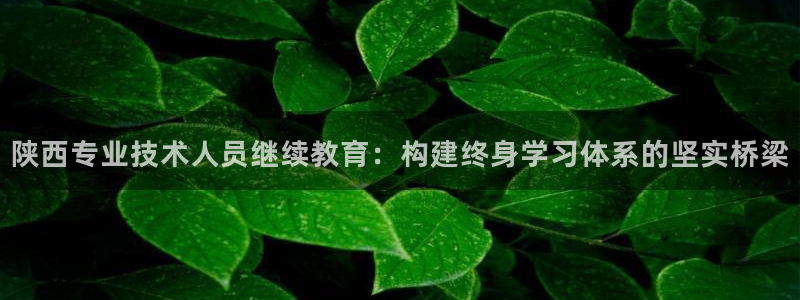 新航娱乐管理有限公司：陕西专业技术人员继续教育：构建终身学习