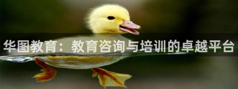 新航娱乐登录：华图教育：教育咨询与培训的卓越平台