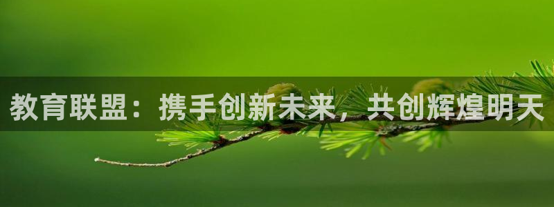 新航娱乐代理：教育联盟：携手创新未来，共创辉煌明天
