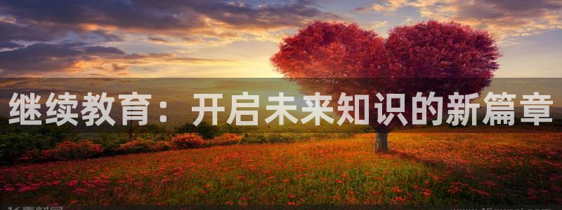 新航娱乐公司简介：继续教育：开启未来知识的新篇章