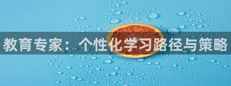 新航娱乐属于什么级别：教育专家：个性化学习路径与策略