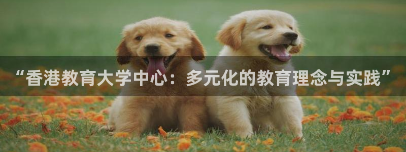 新航娱乐官网地址：“香港教育大学中心：多元化的教育理念与实践