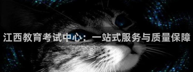 新航娱乐注册：江西教育考试中心：一站式服务与质量保障