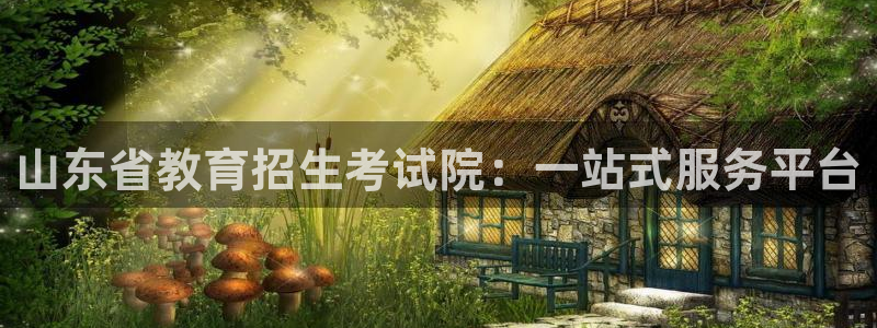兰山新航线娱乐：山东省教育招生考试院：一站式服务平台