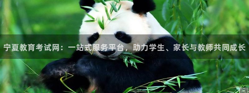 新航娱乐登录入口：宁夏教育考试网：一站式服务平台，助力学生、