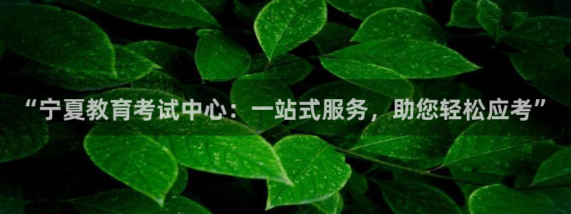 萧山娱乐新航母阿里巴巴：“宁夏教育考试中心：一站式服务，助您