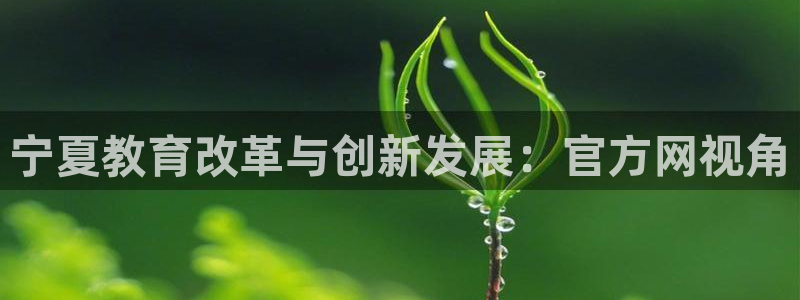 新航娱乐app下载安装：宁夏教育改革与创新发展：官方网视角