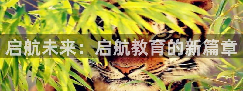 新航娱乐旗下艺人列表：启航未来：启航教育的新篇章