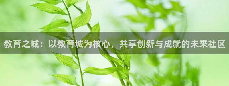 新航娱乐怎么样：教育之城：以教育城为核心，共享创新与成就的未