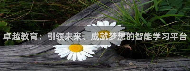 新航娱乐公司招聘：卓越教育：引领未来、成就梦想的智能学习平台