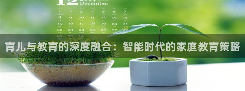 兰山新航线娱乐会所：育儿与教育的深度融合：智能时代的家庭教育