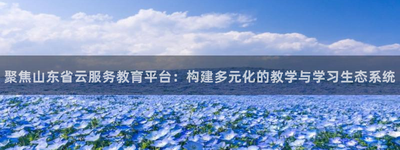 新航娱乐传媒招聘信息：聚焦山东省云服务教育平台：构建多元化的