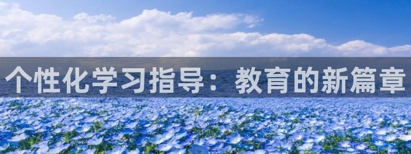 新航海娱乐会所：个性化学习指导：教育的新篇章