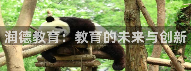 新航海娱乐会所怎么样：润德教育：教育的未来与创新