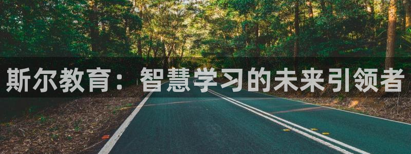 中国新航娱乐在哪个平台：斯尔教育：智慧学习的未来引领者