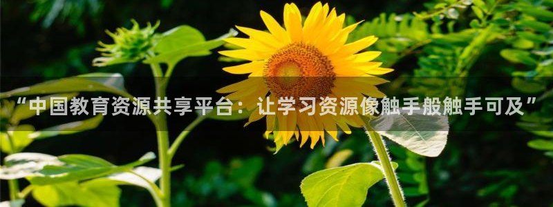 餐饮娱乐新航向：“中国教育资源共享平台：让学习资源像触手般触