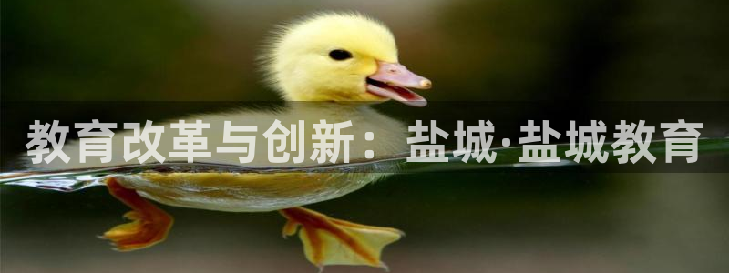 新航娱乐有限公司地址：教育改革与创新：盐城·盐城教育