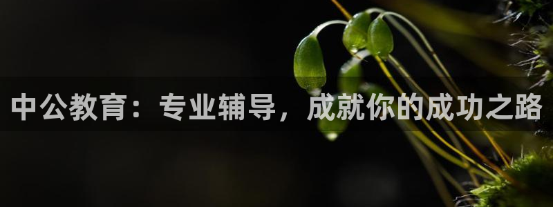 新航娱乐传媒招聘信息网：中公教育：专业辅导，成就你的成功之路