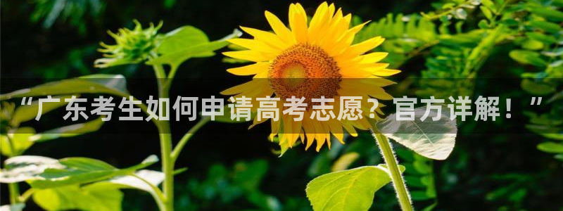 新航娱乐怎么注册账号：“广东考生如何申请高考志愿？官方详解！