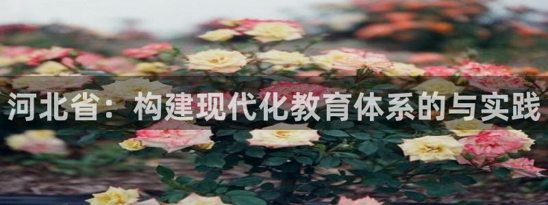 新航文化娱乐传媒怎么样：河北省：构建现代化教育体系的与实践