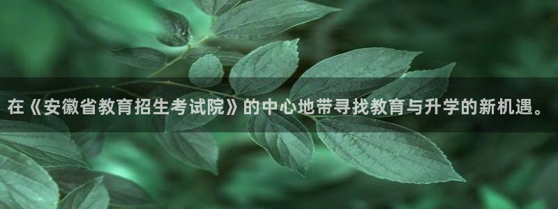 新航娱乐安卓版下载：在《安徽省教育招生考试院》的中心地带寻找