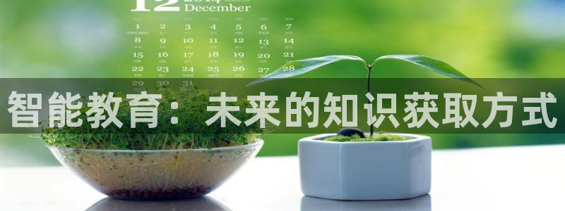 新航新客舱机上娱乐银：智能教育：未来的知识获取方式