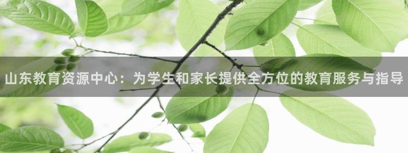 新航娱乐被国家认可吗：山东教育资源中心：为学生和家长提供全方