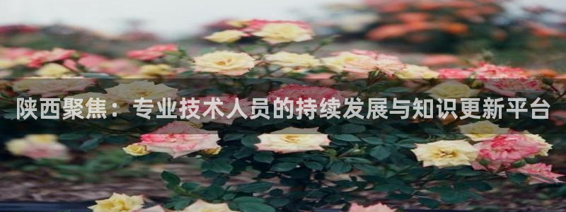 新航娱乐近期演出活动：陕西聚焦：专业技术人员的持续发展与知识